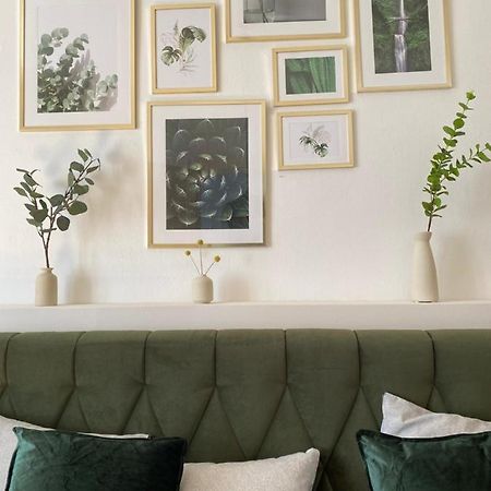 Big Vintage Style Flat Near Schoenbrunn Viena Exterior foto