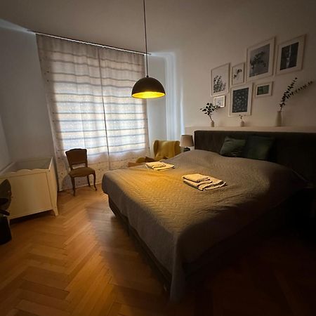 Big Vintage Style Flat Near Schoenbrunn Viena Exterior foto