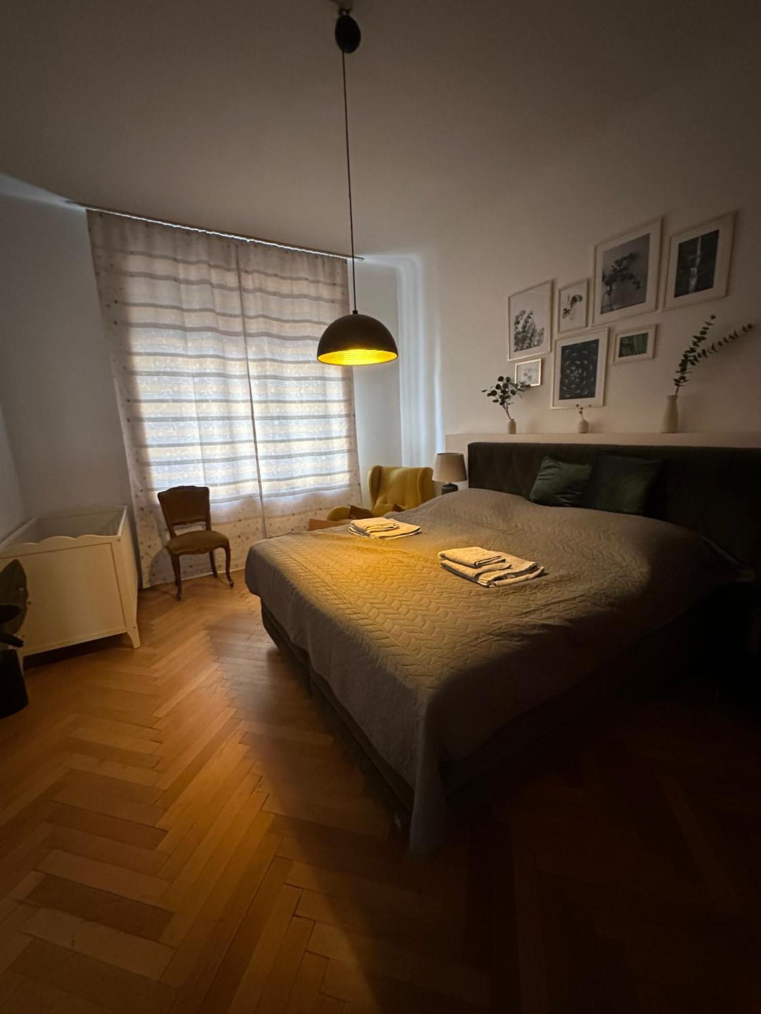 Big Vintage Style Flat Near Schoenbrunn Viena Exterior foto