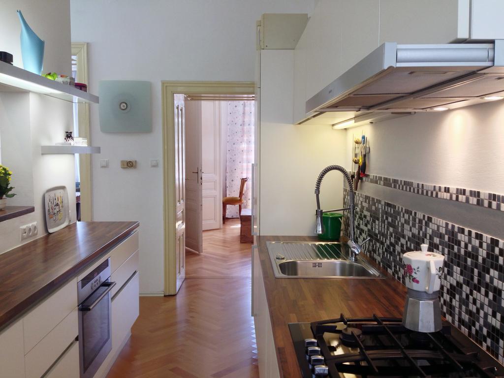 Big Vintage Style Flat Near Schoenbrunn Viena Exterior foto